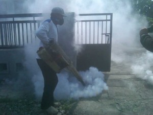 Puluhan Warga Jabon Diserang Chikungunya