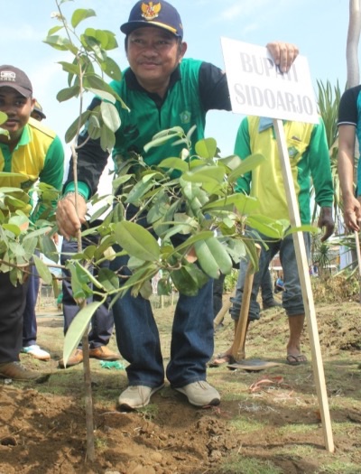 Bupati Sidoarjo Saiful Ilah saat menanam pohon sawo kecik di Tanjoeng Poeri eks TPA di kawasan lingkar timur