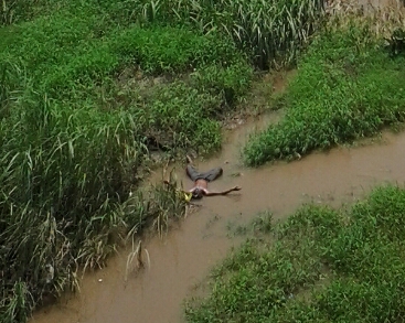 Mayat Mr X mengapung di sungai yang ditemukan warga Kluweh, Kebonangung, Porong saat ke kebunnya