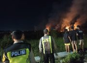 Api Ilalang Mengganas di Seduri Balongbendo, Polisi dan Damkar Bergerak Cepat